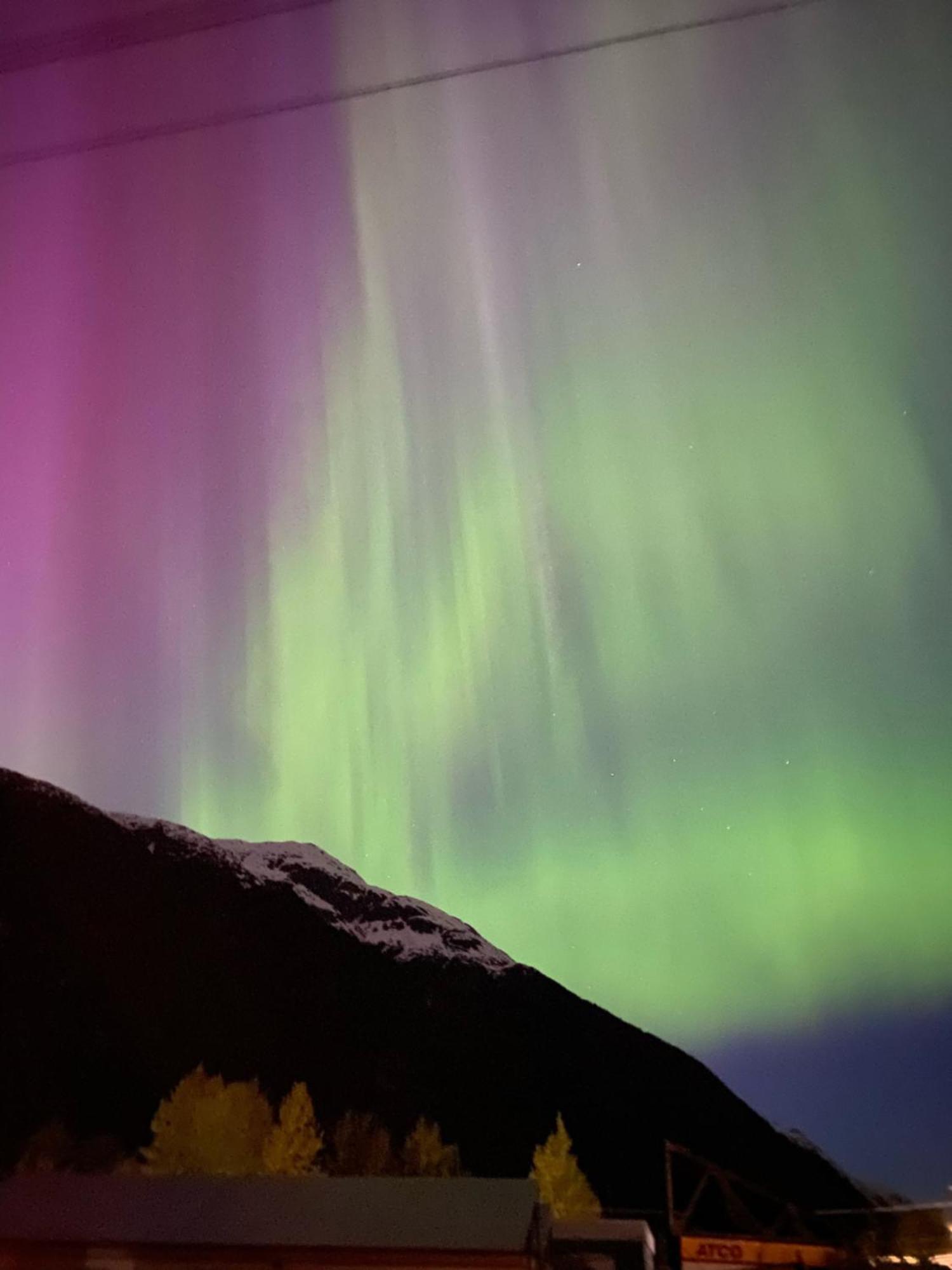 Bear Valley Guesthouse Stewart エクステリア 写真